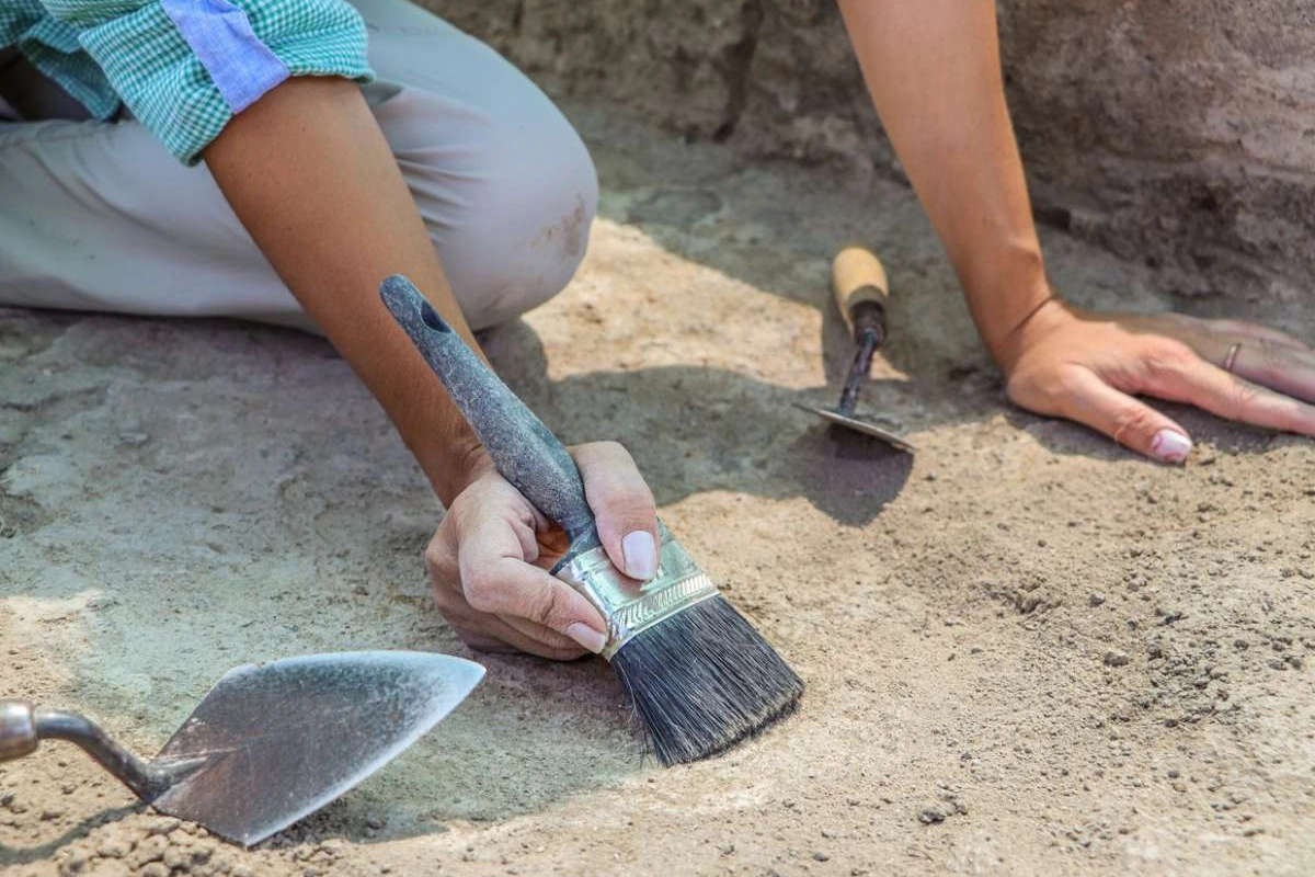 85-Million-Year-Old Dinosaur Fossils Found in Northern Tajikistan