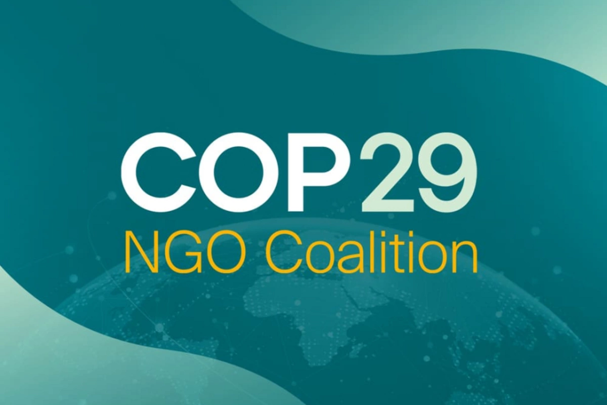 Over 500 Foreign NGOs Praise ‘Baku Breakthrough at COP29