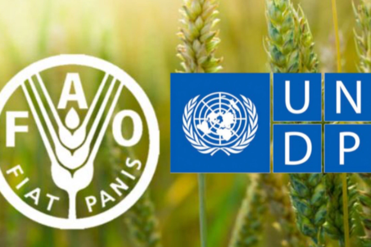 UNDP, FAO Partner on Project to Improve Environmental Sustainability in Aral Sea Basin