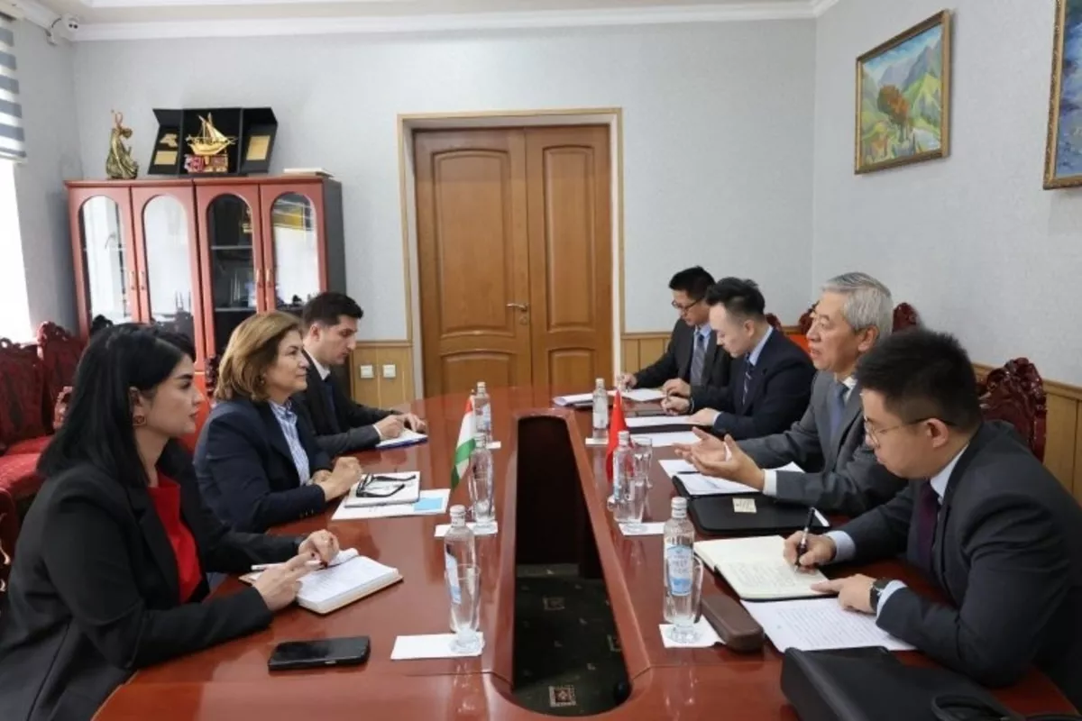 Tajikistan, China Discuss Expanding Cultural Cooperation in Dushanbe