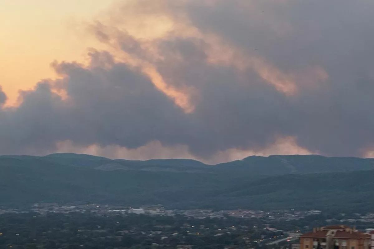 Forest Fire Erupts in Türkiye’s Mugla Province as Strong Winds Fuel Flames