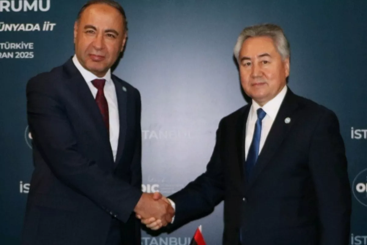 Libya, Kyrgyzstan Discuss Strengthening Bilateral Ties at Istanbul OIC Meeting