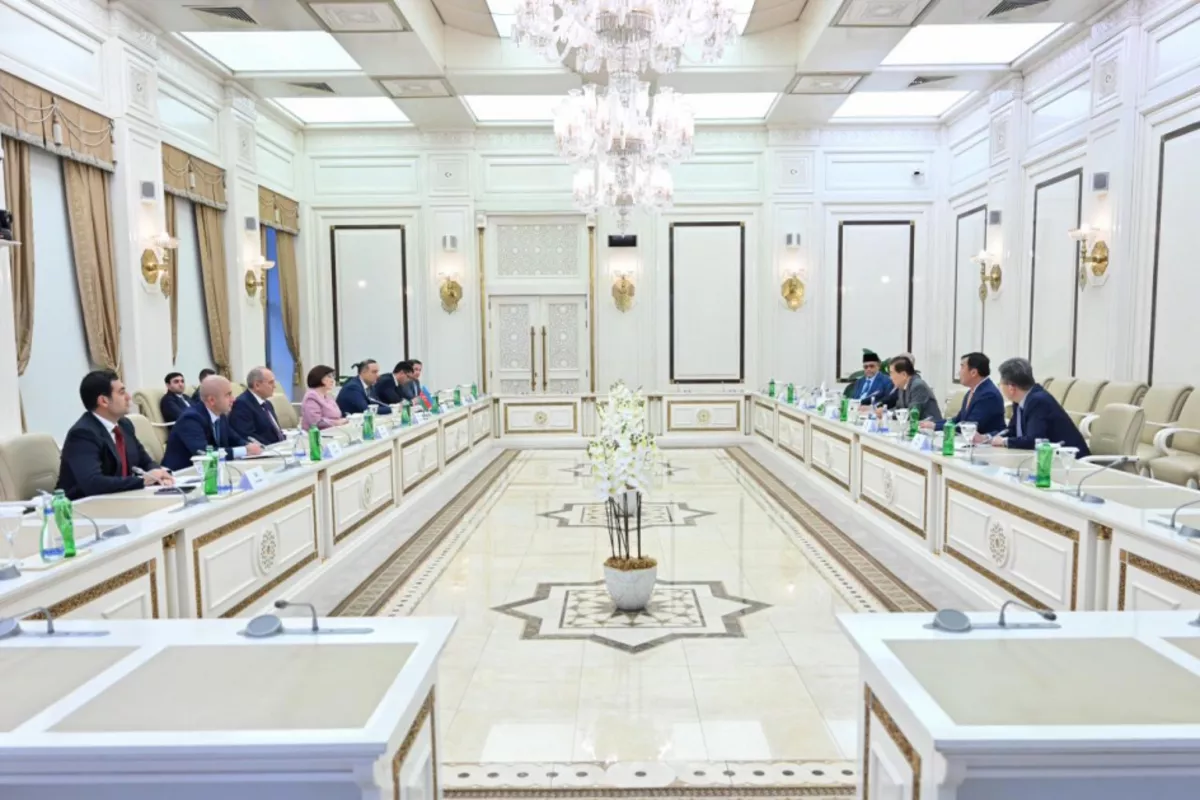 Azerbaijan Keen to Expand Political Ties with Asian Countries: Parliament Speaker