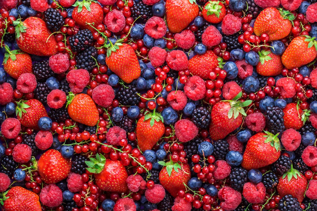 Russia’s Arkhangelsk Receives Massive Shipment of Fruits and Berries from Kyrgyzstan