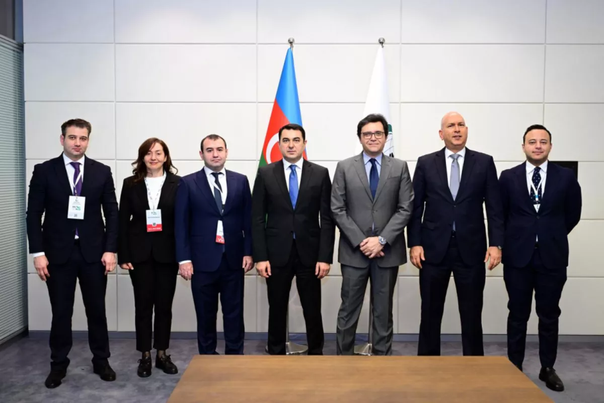 Azerbaijan and Egypt Explore Cultural Cooperation Opportunities