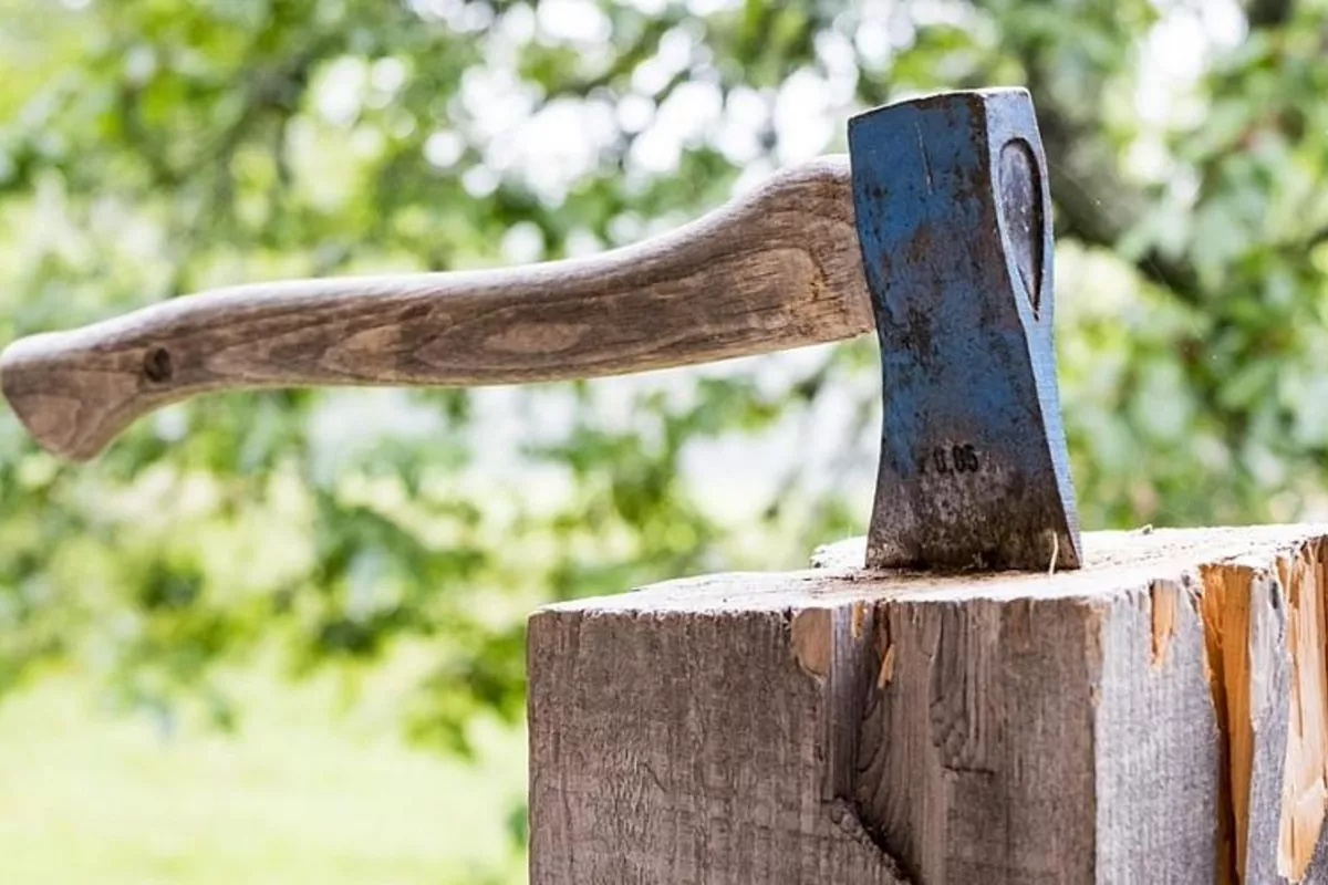 School Axe Incident in Kazakhstan Sparks Criminal Investigation