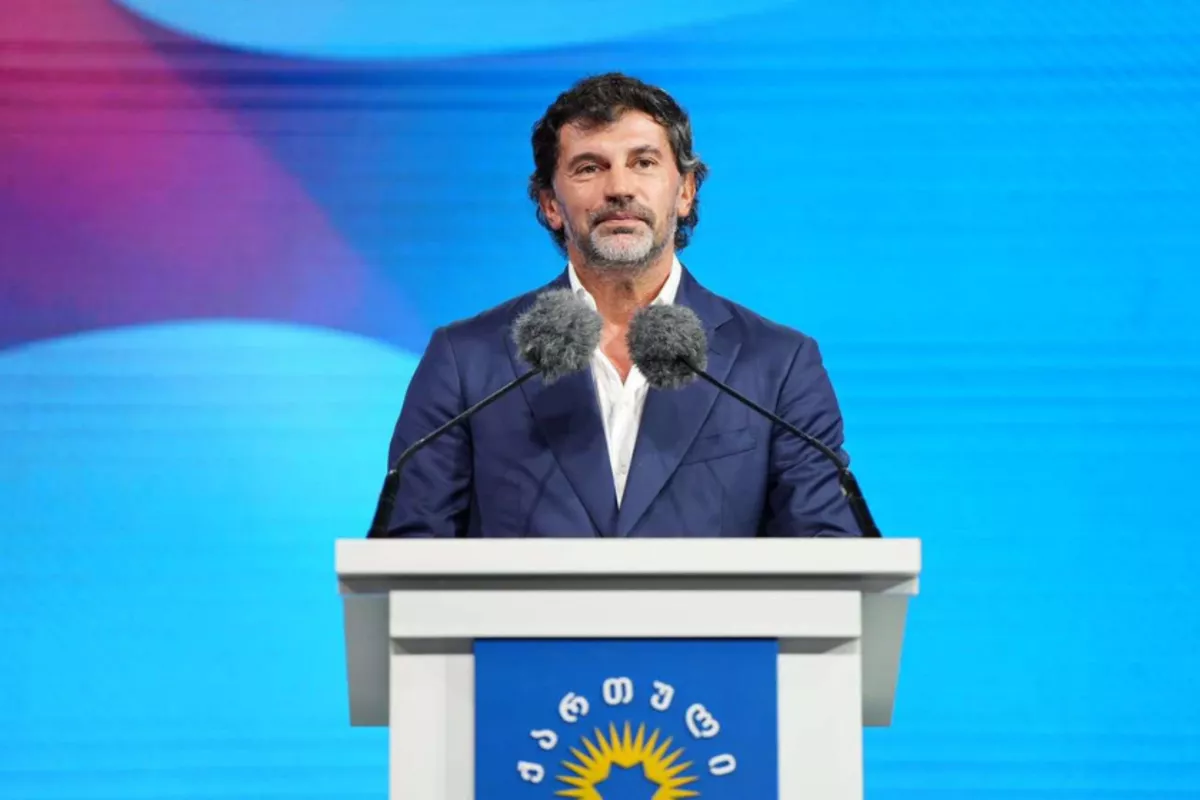 Georgian Official Slams EU Bureaucrats Over 'Unacceptable' Behavior