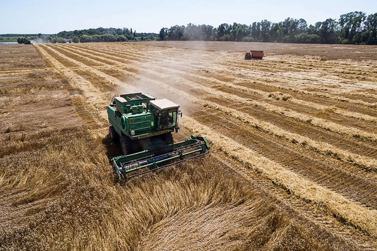 Russia to Lower Export Duty on Wheat to $41.5 per Metric Ton