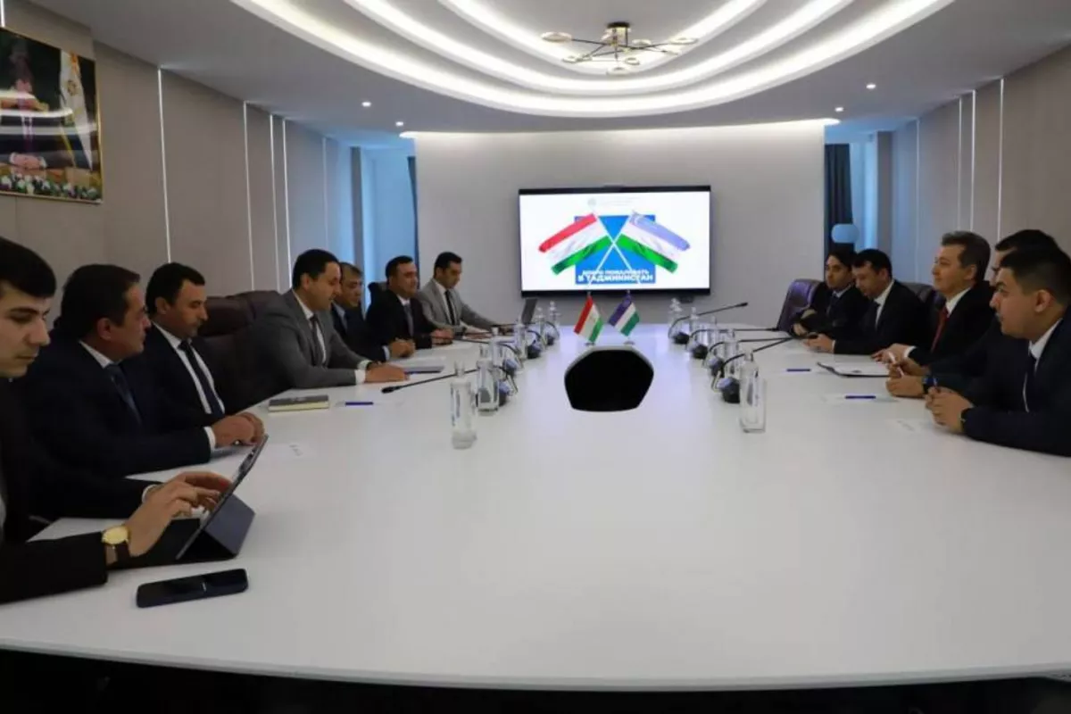Uzbekistan, Tajikistan Aim to Expand Cooperation in Digitalization