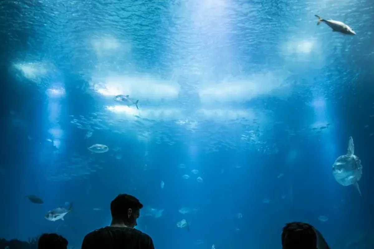 Kazakhstan to Get New Park Featuring Aquarium, Butterfly Museum
