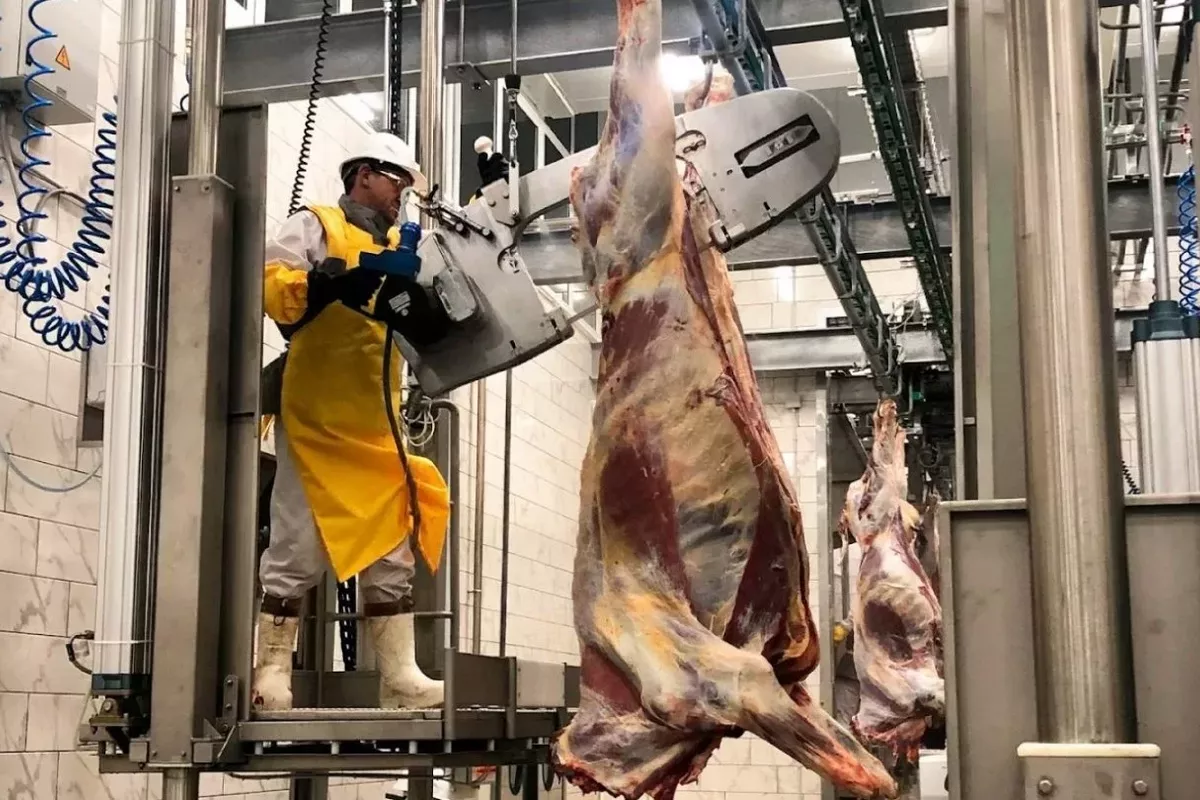 Kazakh Court Jails 30 in Huge Meat Industry Subsidy Scheme