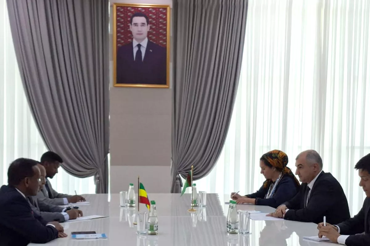 Turkmenistan and Ethiopia Discuss Cooperation in Transport and Environmental Sustainability