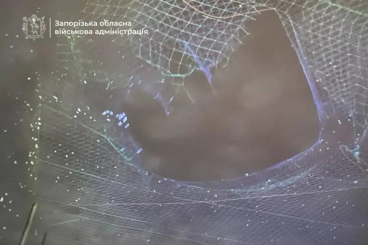 Anti-Drone Net Saves Passenger Bus From FPV Drone Attack in Ukraine's Zaporizhzhia
