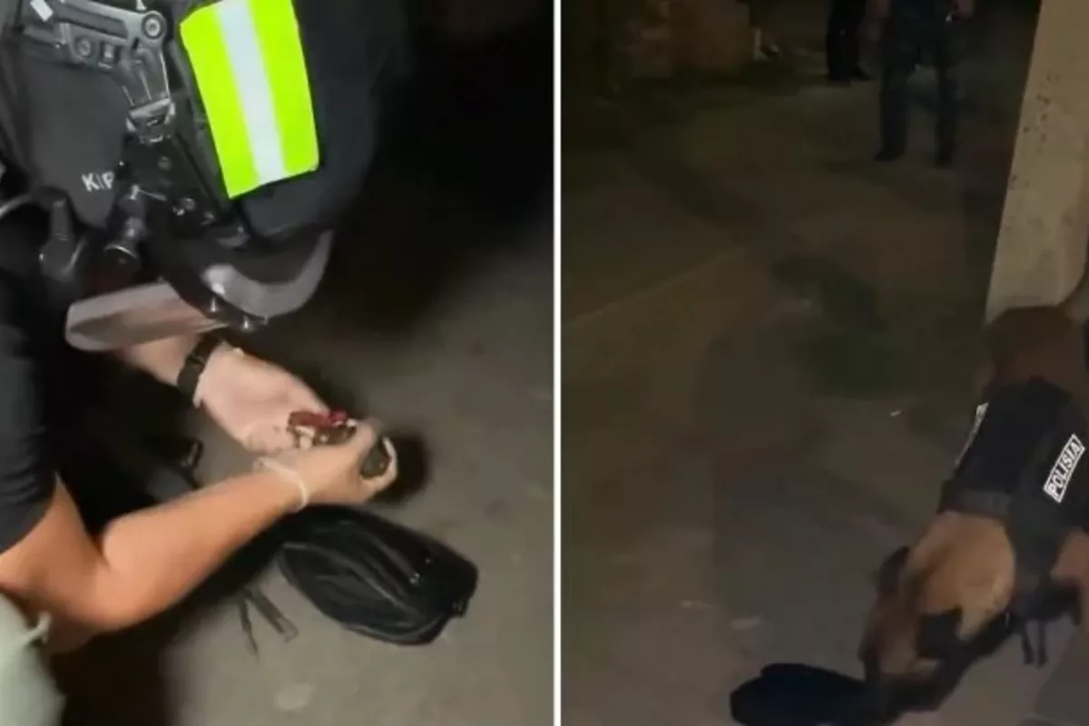Kazakh Policemen Detain Man Carrying Training Grenade and Knife