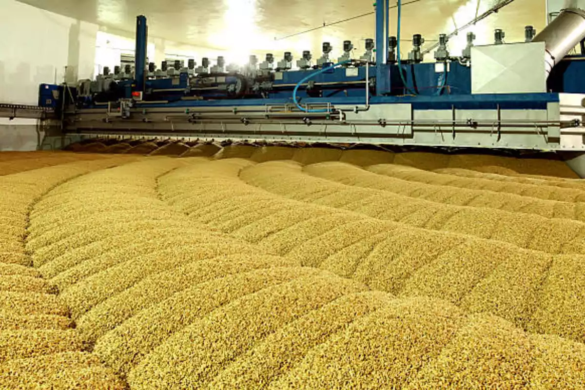 Uzbekistan to Boost Seed Production with $200 Million Investment