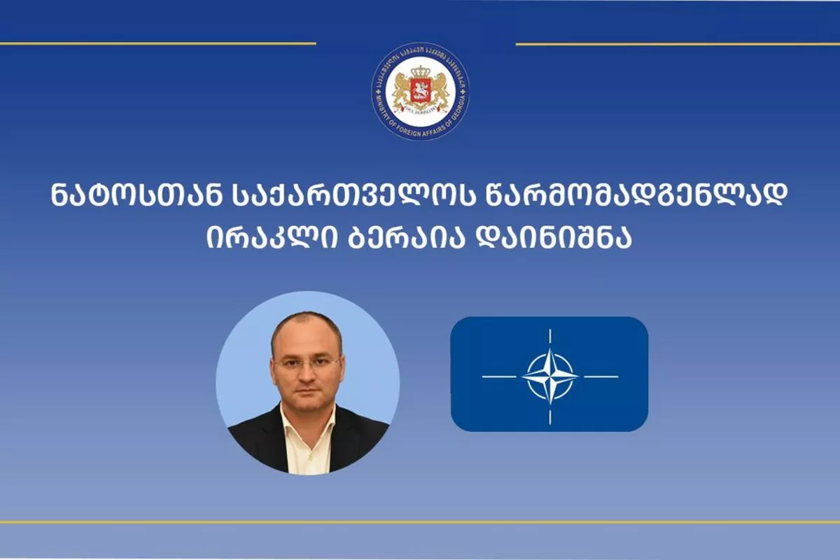 Georgia Appoints New Representative to NATO