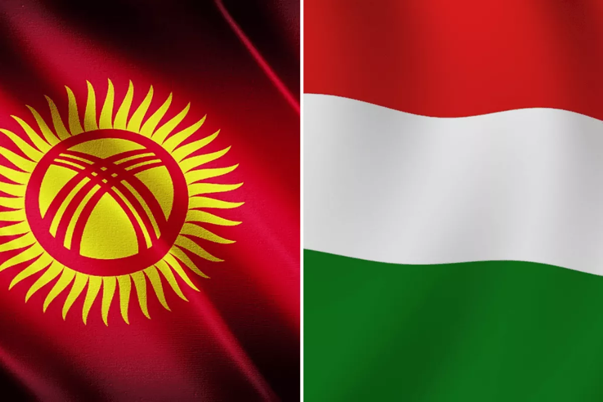 Kyrgyz FM Heads to Hungary to Boost Trade and Cultural Ties