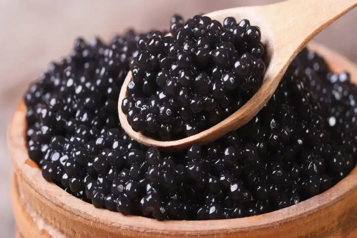 Azerbaijan Eyes EU Market for Premium Black Caviar Exports