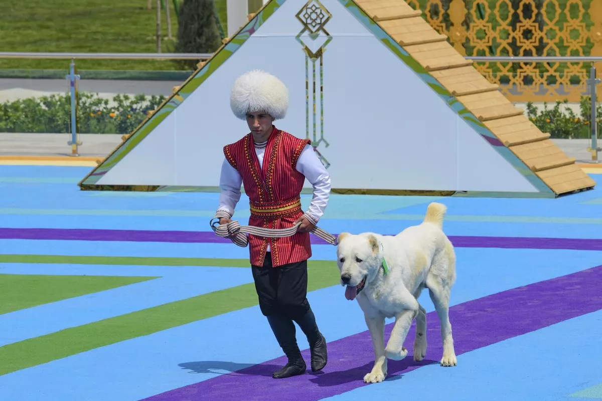 Turkmen Alabay Dog Breeding Joins UNESCO Intangible Heritage