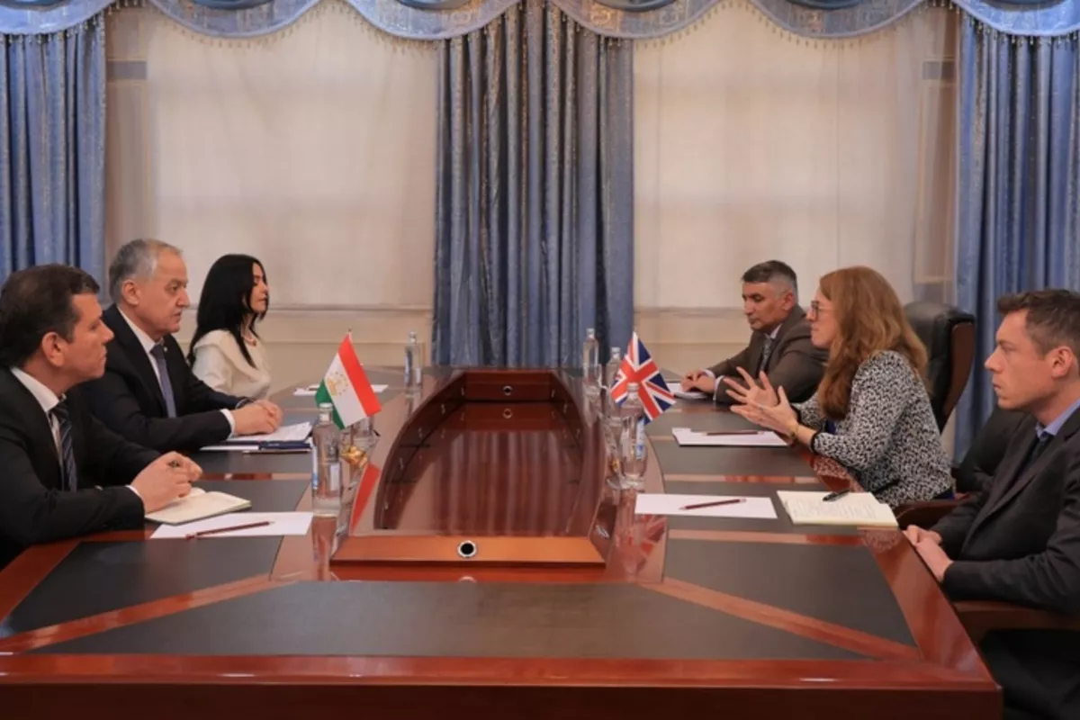 Tajikistan's Foreign Minister Meets with UK Ambassador