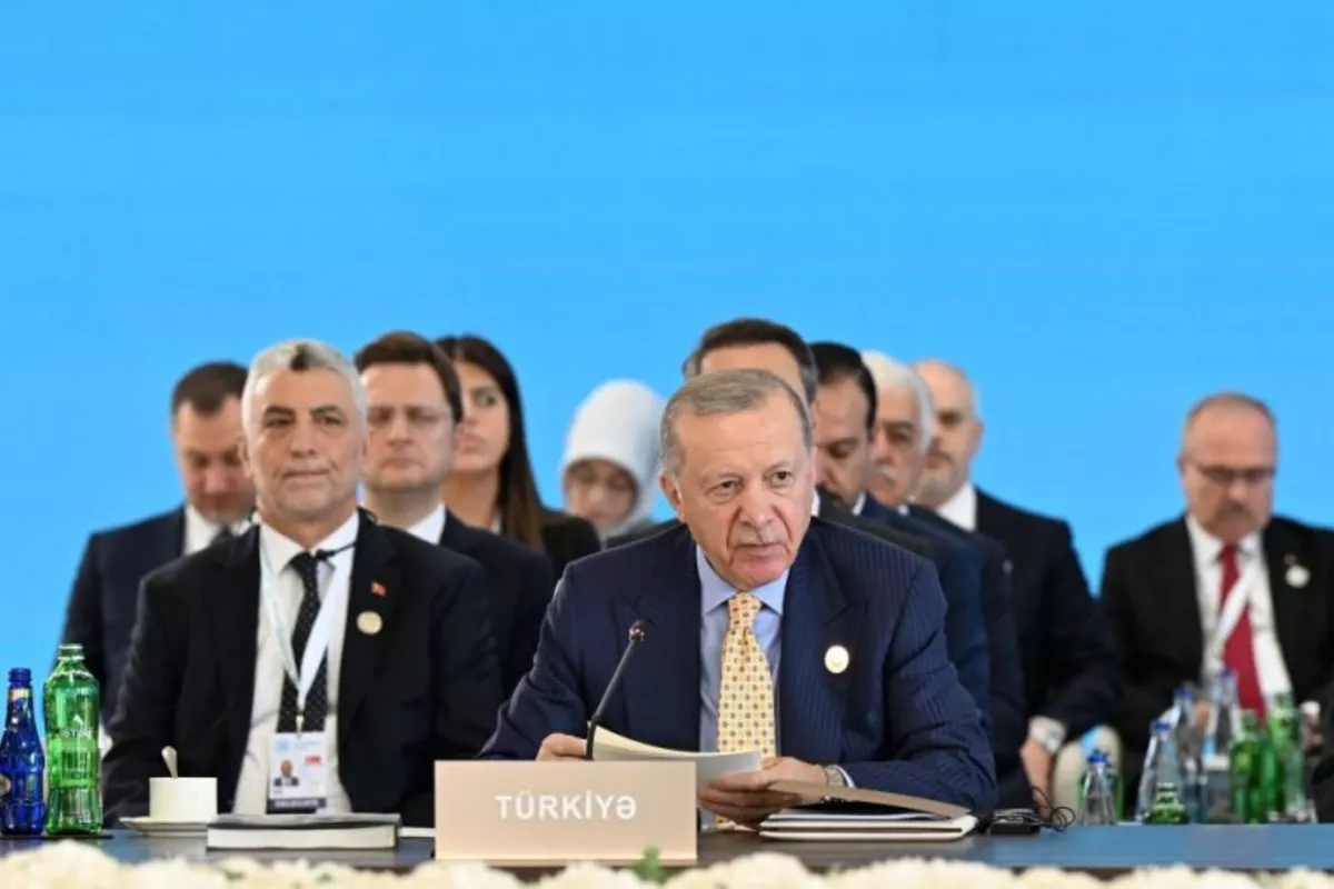 Erdogan Urges Turkic States to Boost Role in Regional Security