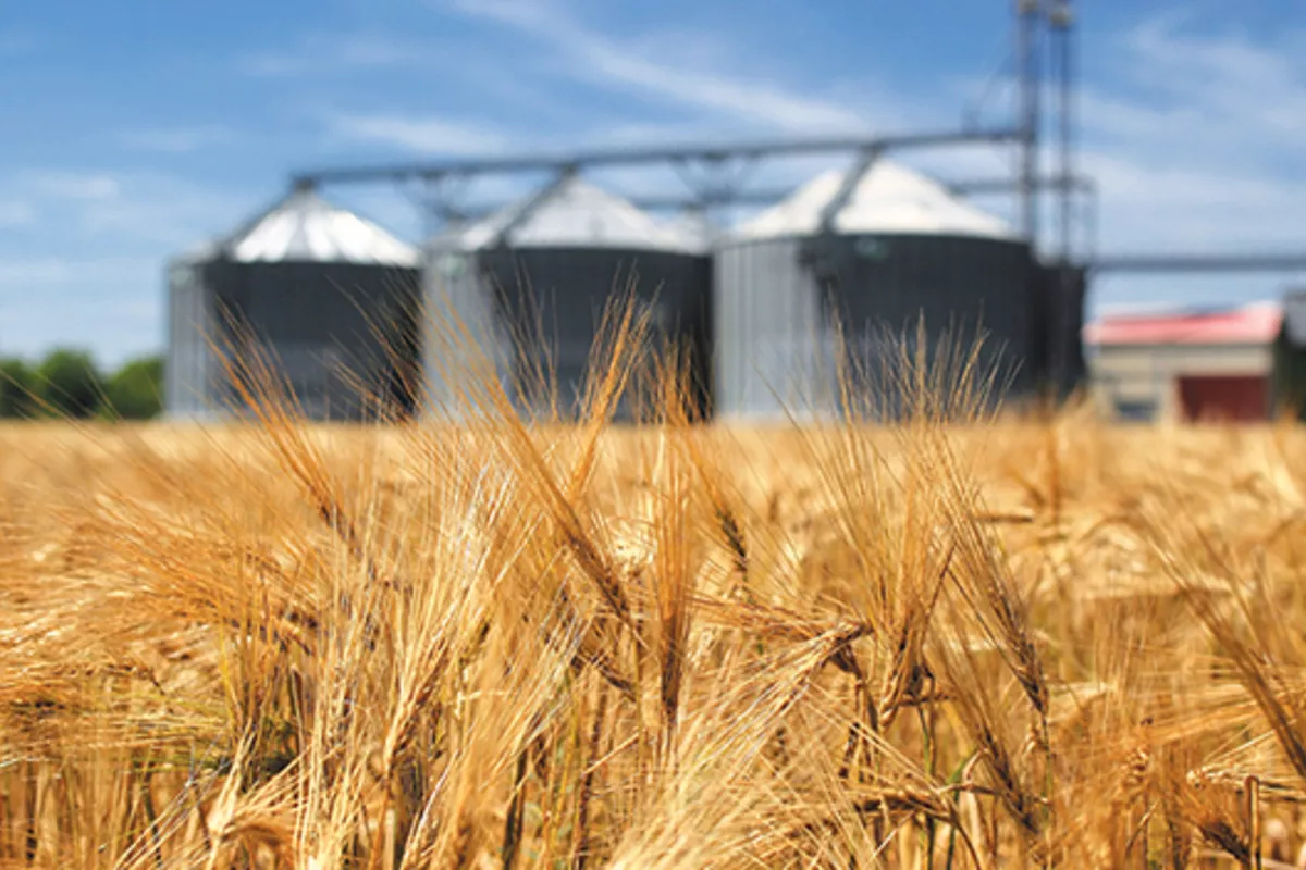 Why the First Grain Shipment Matters for the South Caucasus