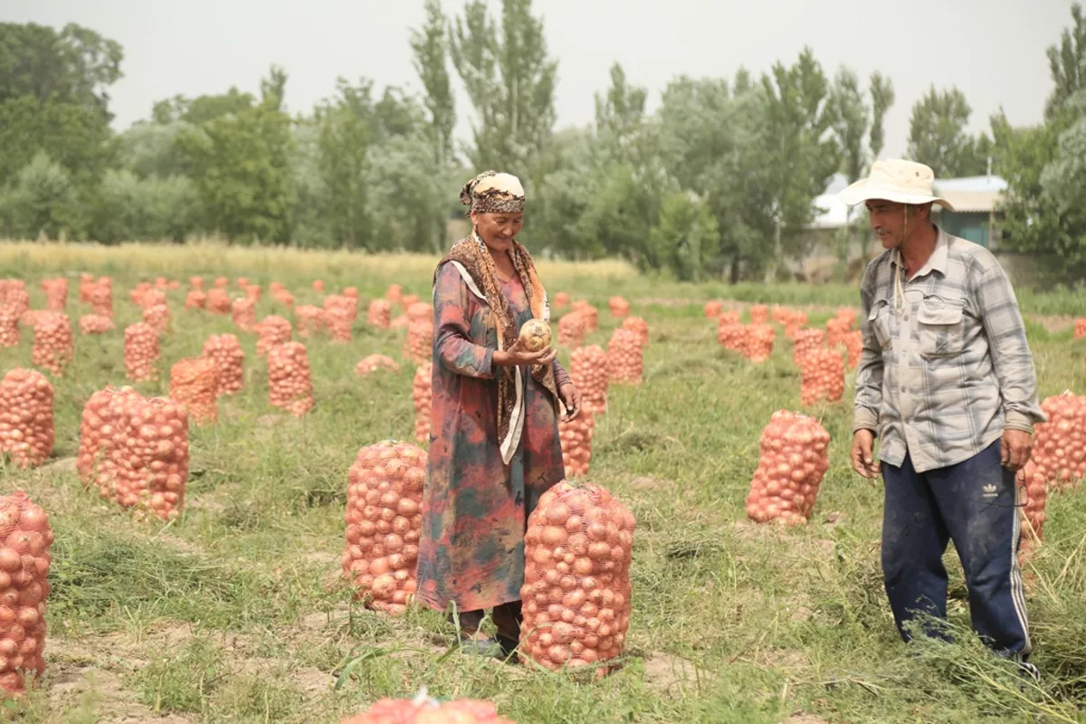 WB: Tajikistan Needs $1.4 Billion to Meet 2030 Nutrition Goals