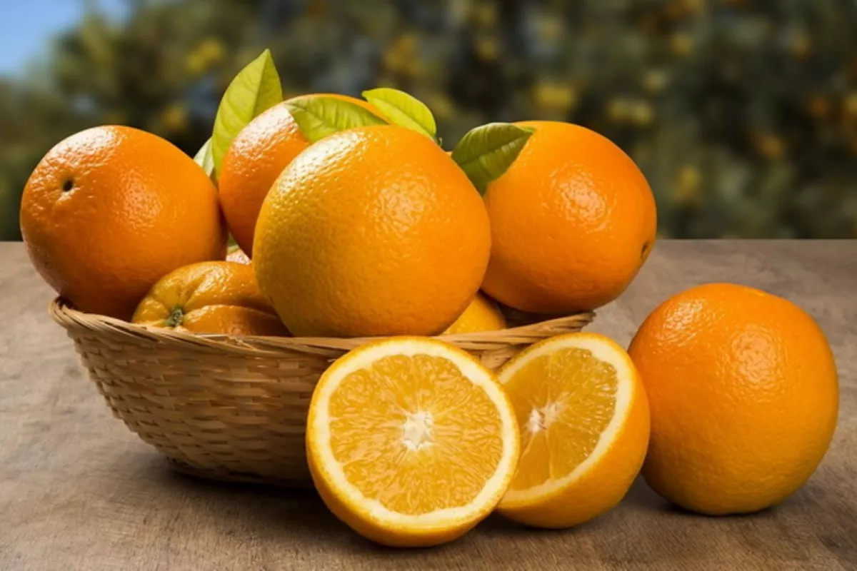 Uzbekistan Expands Citrus Imports Amid Growing Domestic Demand