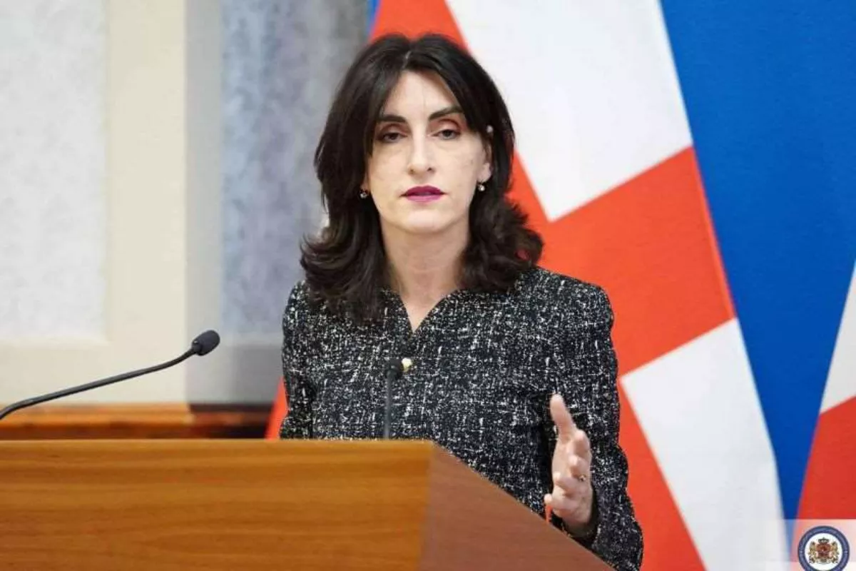 Georgia’s FM: New Armenia-Azerbaijan Routes to Boost Regional Connectivity