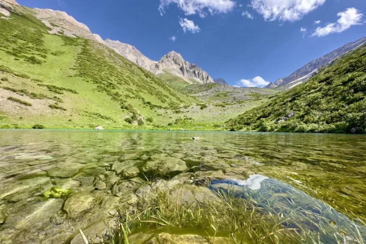 Kazakhstan Unveils Long-Term Biodiversity Conservation Concept