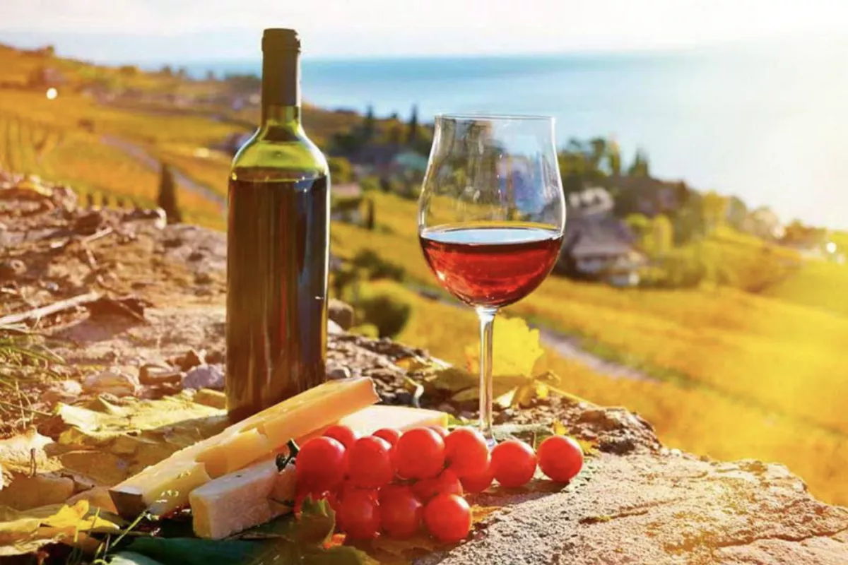 Russia Suspends Imports of Georgian Wine, Mineral Water and Other Products
