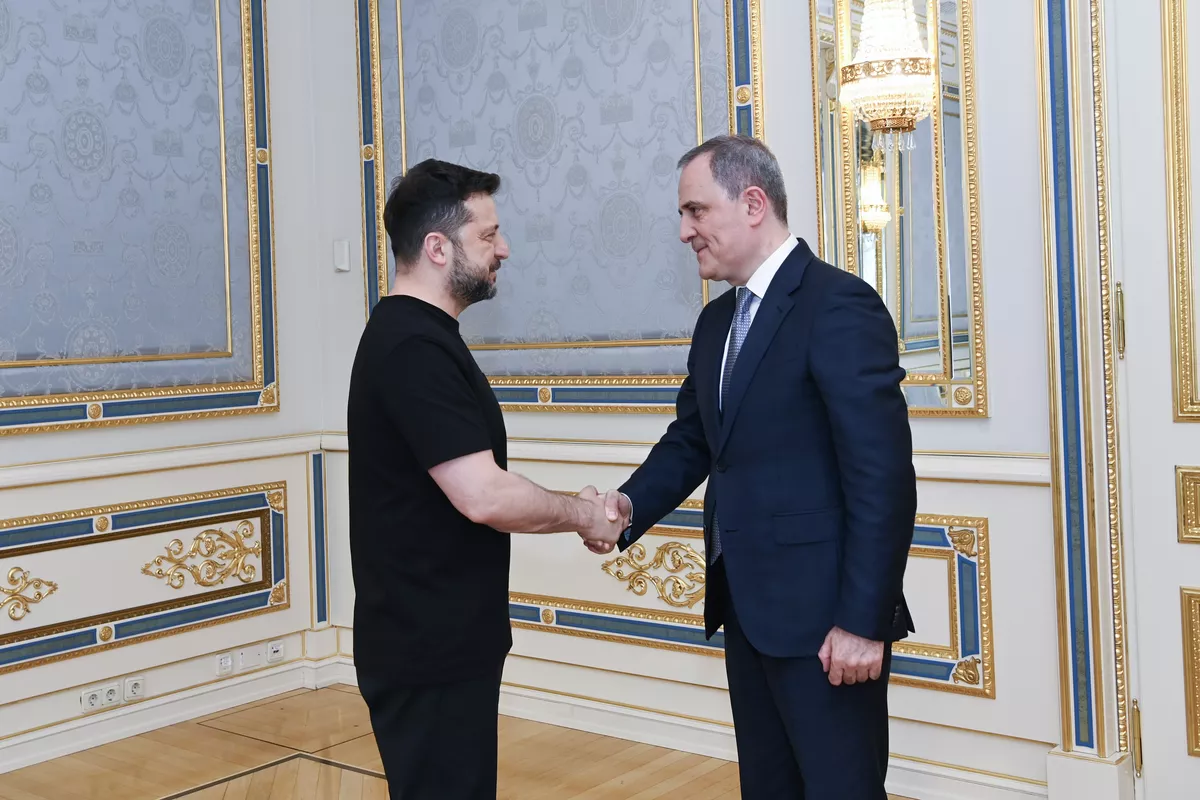 Zelenskyy Thanks Azerbaijan for Humanitarian, Energy Assistance to Ukraine