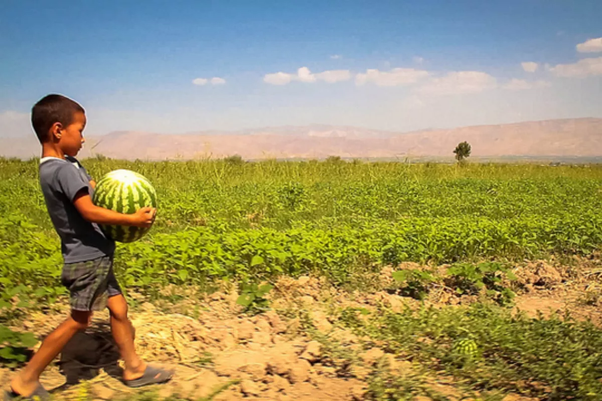 Tajikistan Boosts Agricultural Output