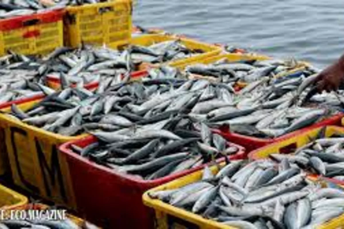 Kazakhstan’s Aquaculture Industry Set for Boom Following 2025 Legal Reforms