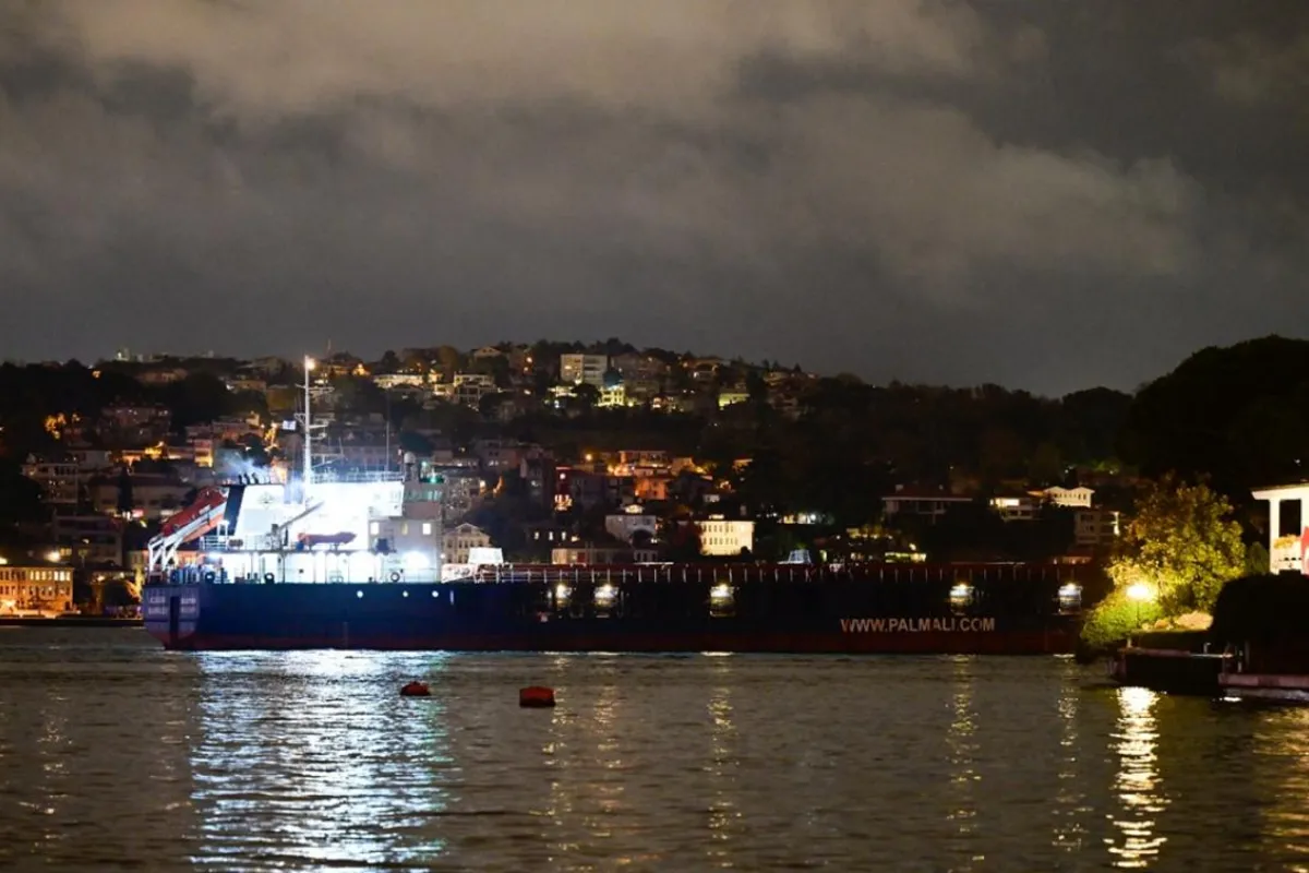 Bosphorus Shipping Resumes After Cargo Ship Engine Failure
