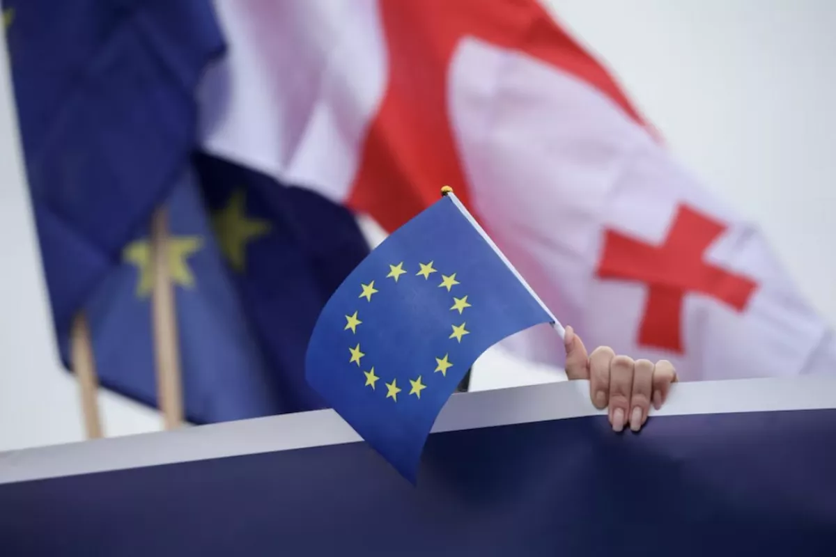 EU Delegation Raises Human Rights Concerns in Georgia