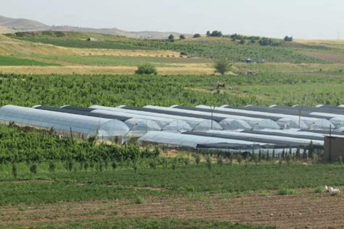 Uzbekistan Sets Up Office to Boost Greenhouse Exports