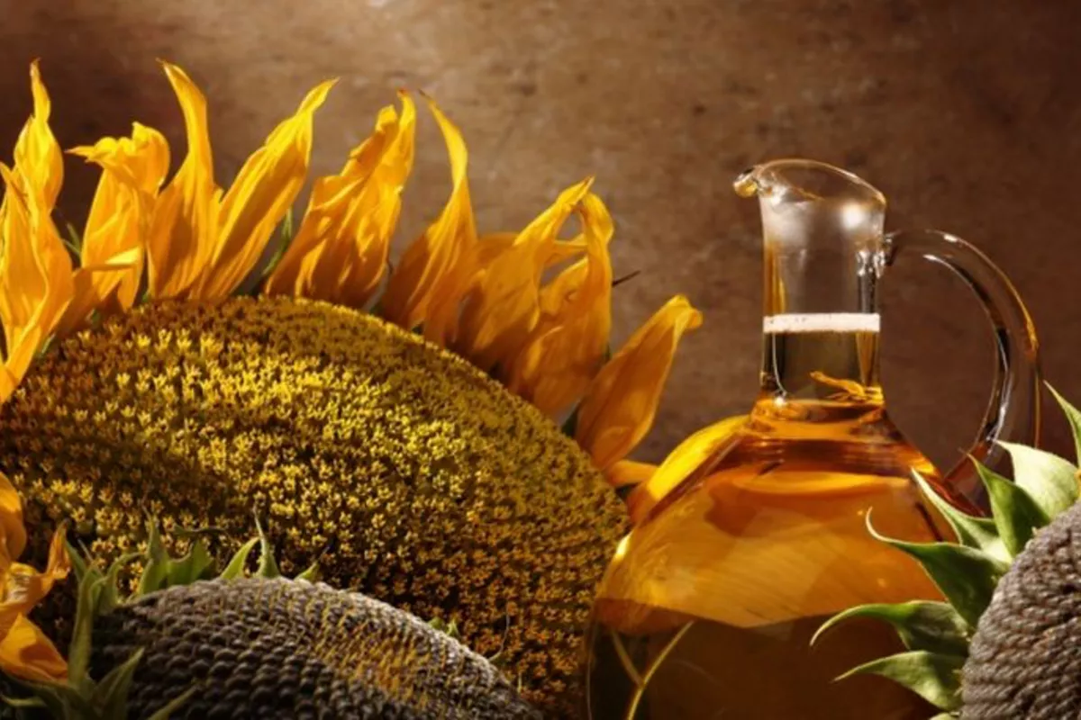 Uzbekistan to Boost Oilseed Crop Cultivation
