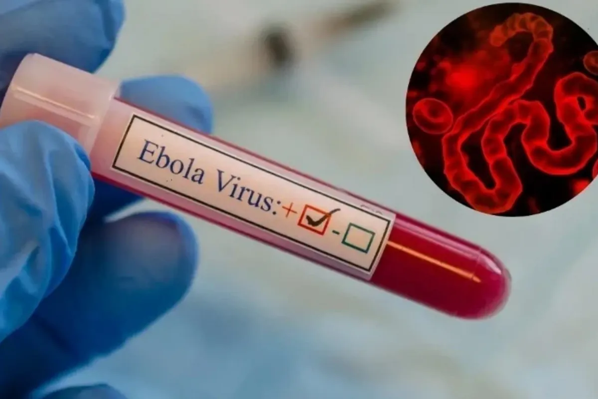 Uzbekistan Introduces New Ebola-Related Rules for US-Bound Passengers