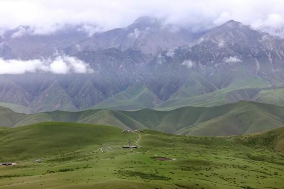 China To Build Biodiversity Bridge with Central Asia Through Plant Data Hub