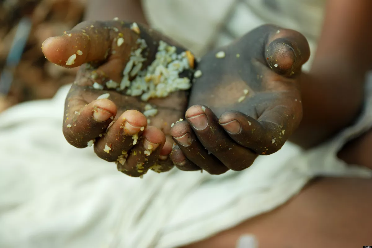 Central Asia Reduces Hunger by Fivefold in Two Decades, FAO Reports