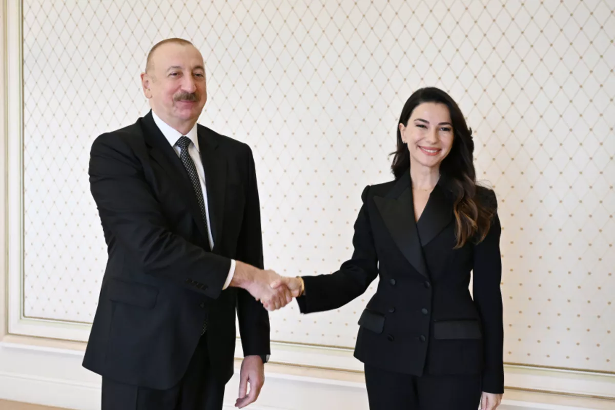 Azerbaijani Leader, Georgian Minister Discuss Boosting Bilateral, Multilateral Cooperation