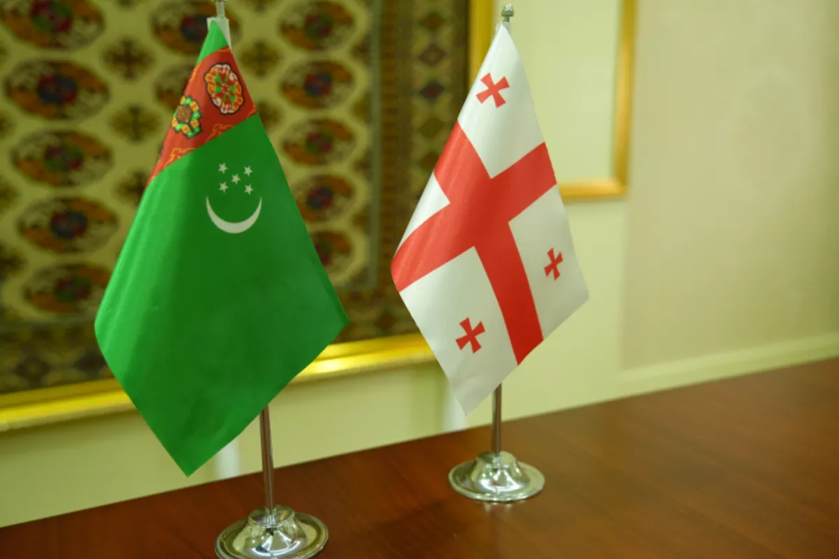 Georgia, Turkmenistan Explore Boosting Trade and Economic Ties