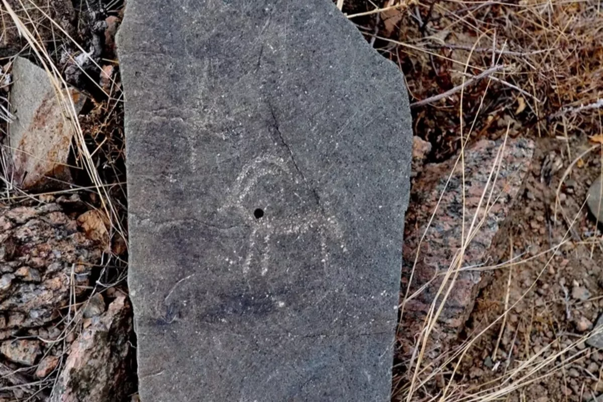 Mysterious Petroglyphs Bring Kyrgyz Town Into Focus