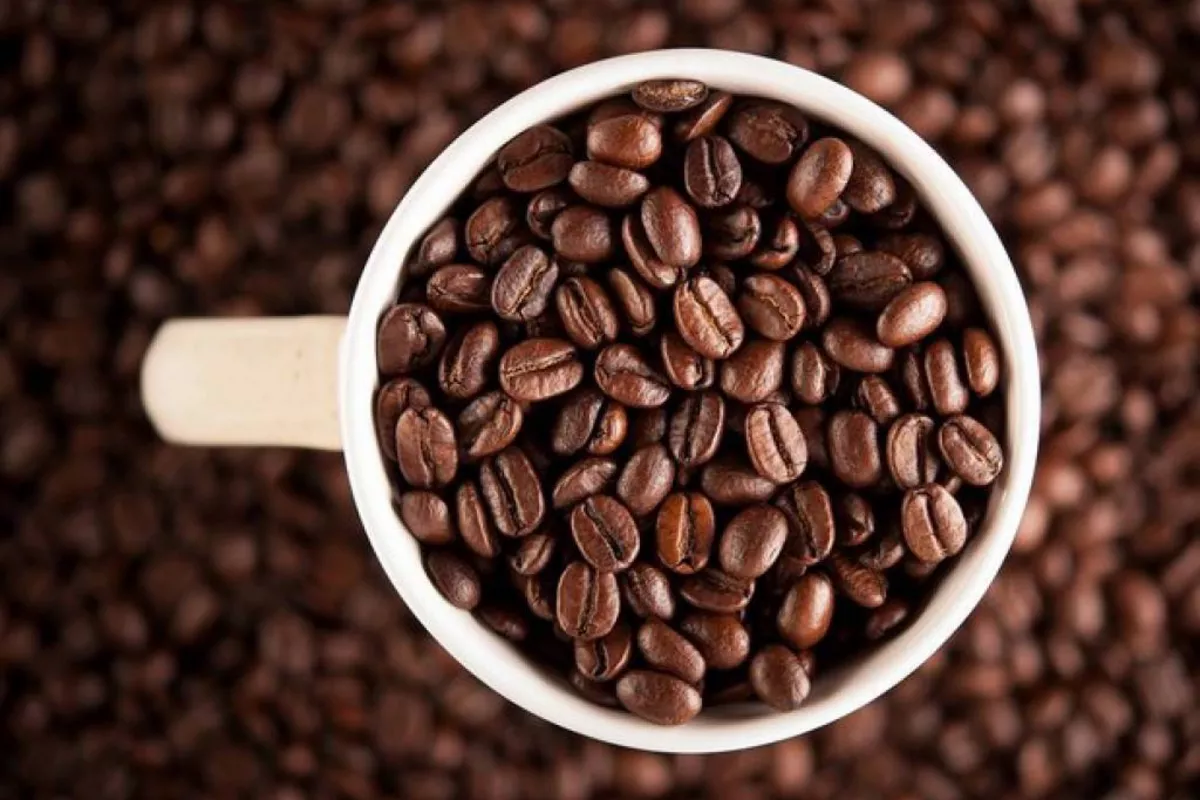 Italy Becomes Top Coffee Supplier to Uzbekistan