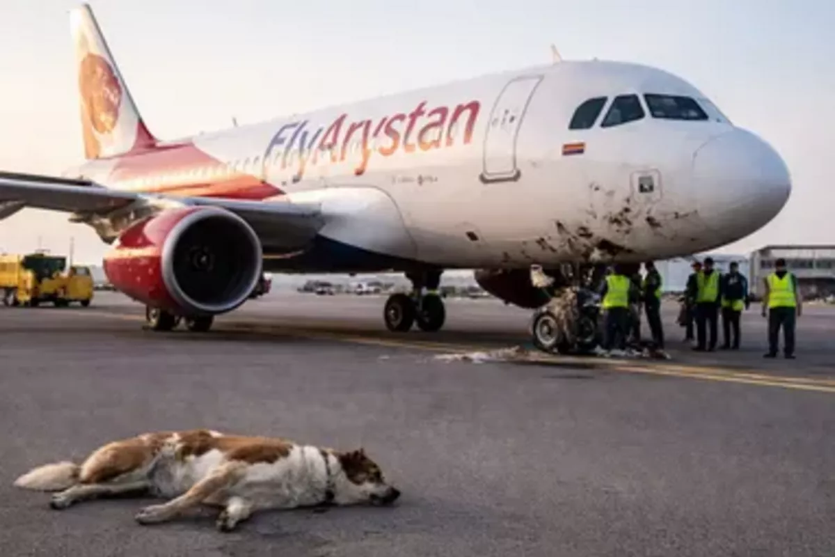 Plane Collides With Dog on Runway in Kazakhstan
