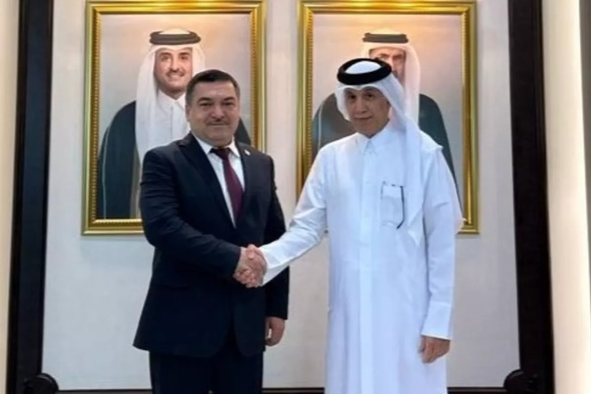 Tajikistan and Qatar Hold Political Consultations