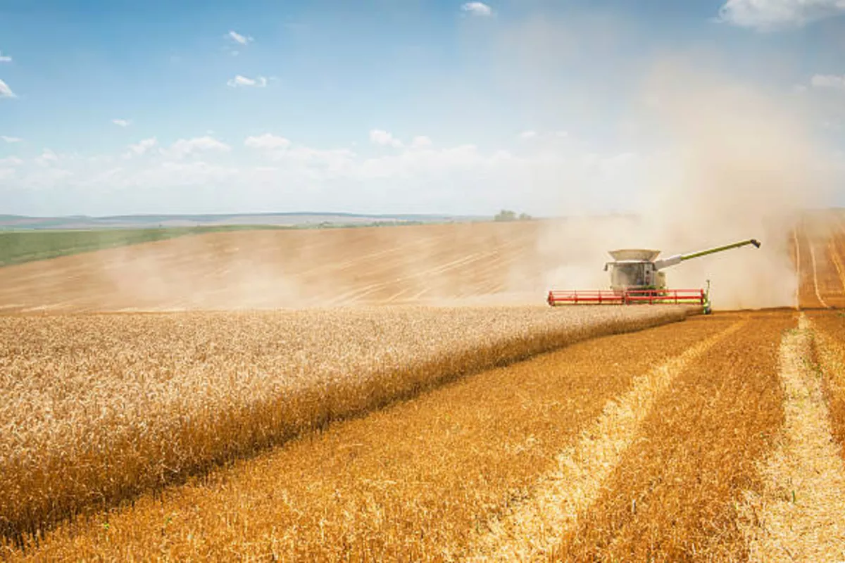 Russia Weighs Cryptocurrency Use in Grain Trade