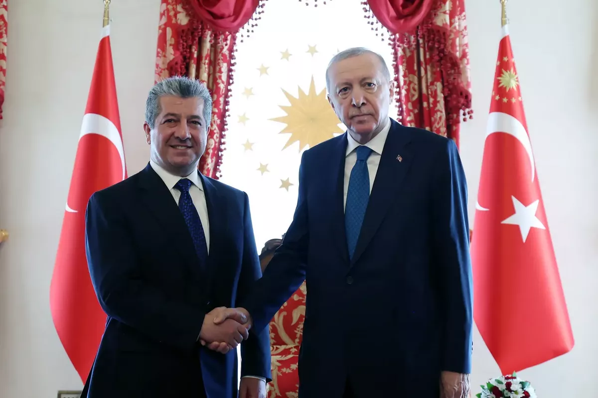 Türkiye Against Expansion of US-Iran Tensions, Erdoğan States