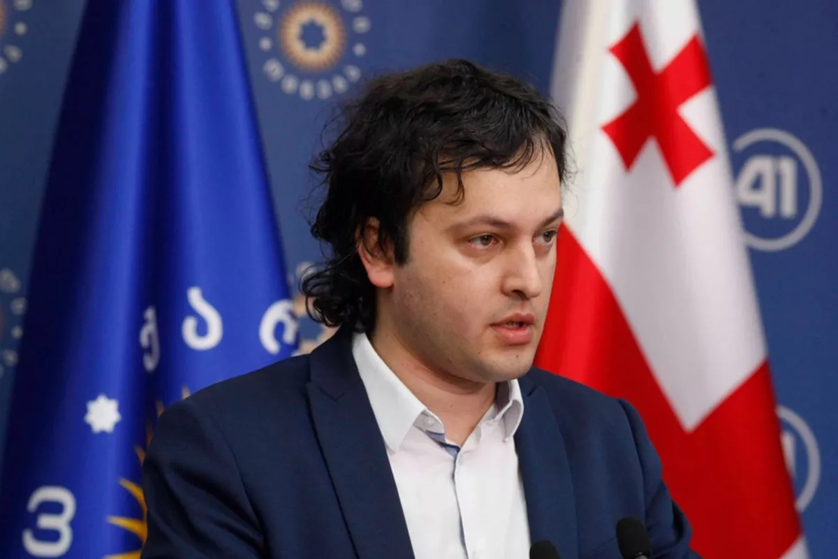 Georgian PM Criticizes Council of Europe Resolution as Another Attack on His People